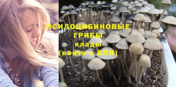 шишки Новочеркасск