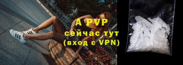 индика Майский