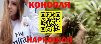 крисы Гусев
