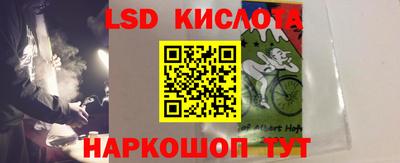 крисы Гусев