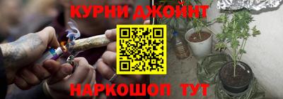 крисы Гусев